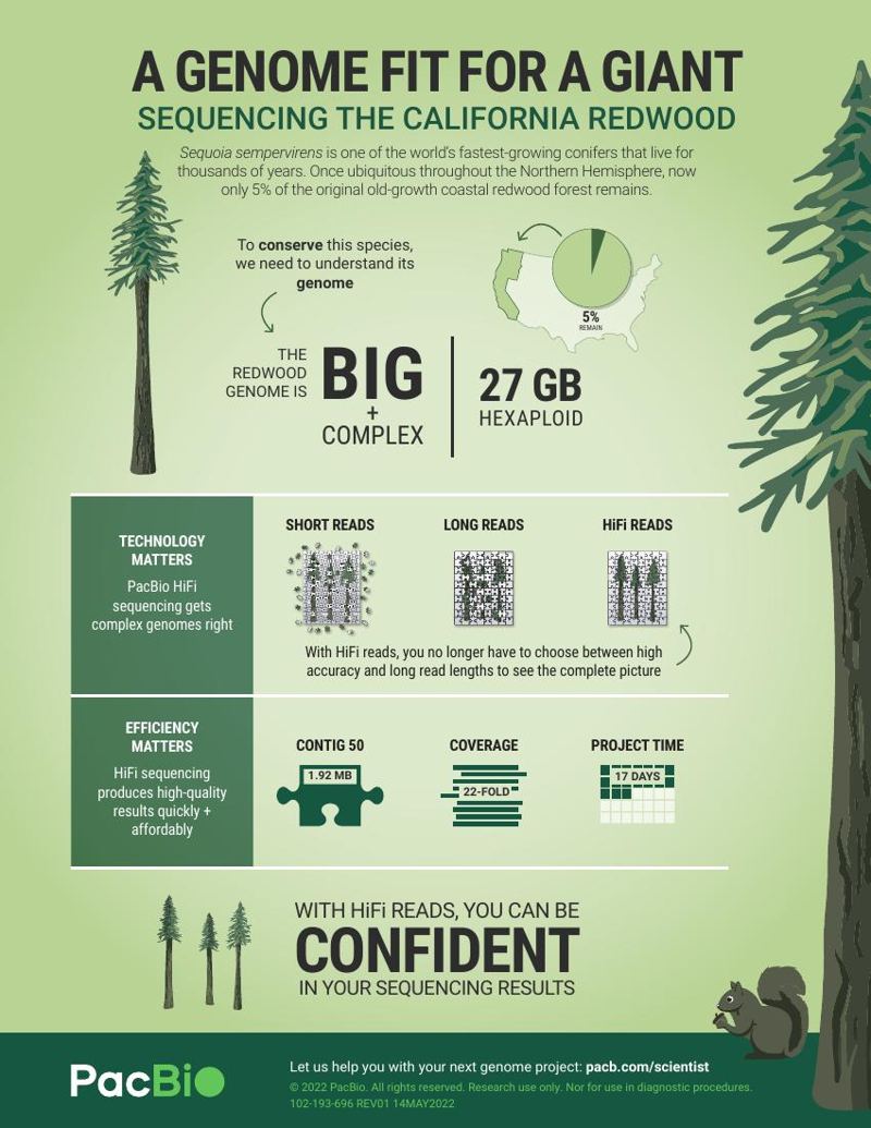 A Genome Fit for a Giant — California Redwood