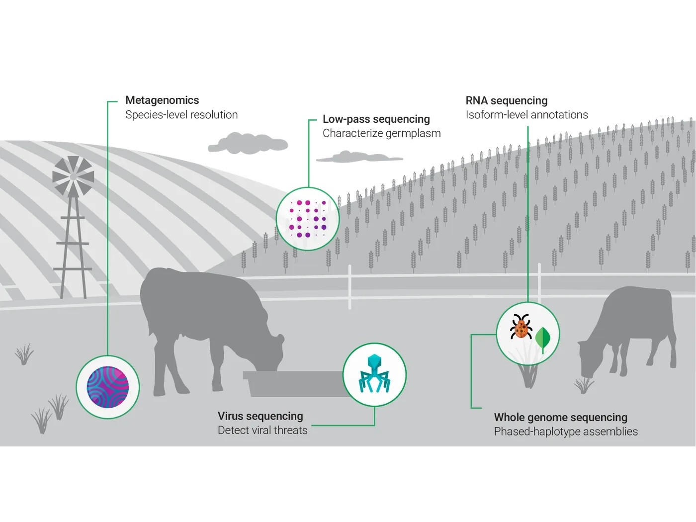 Agricultural genomics — landscape illustration