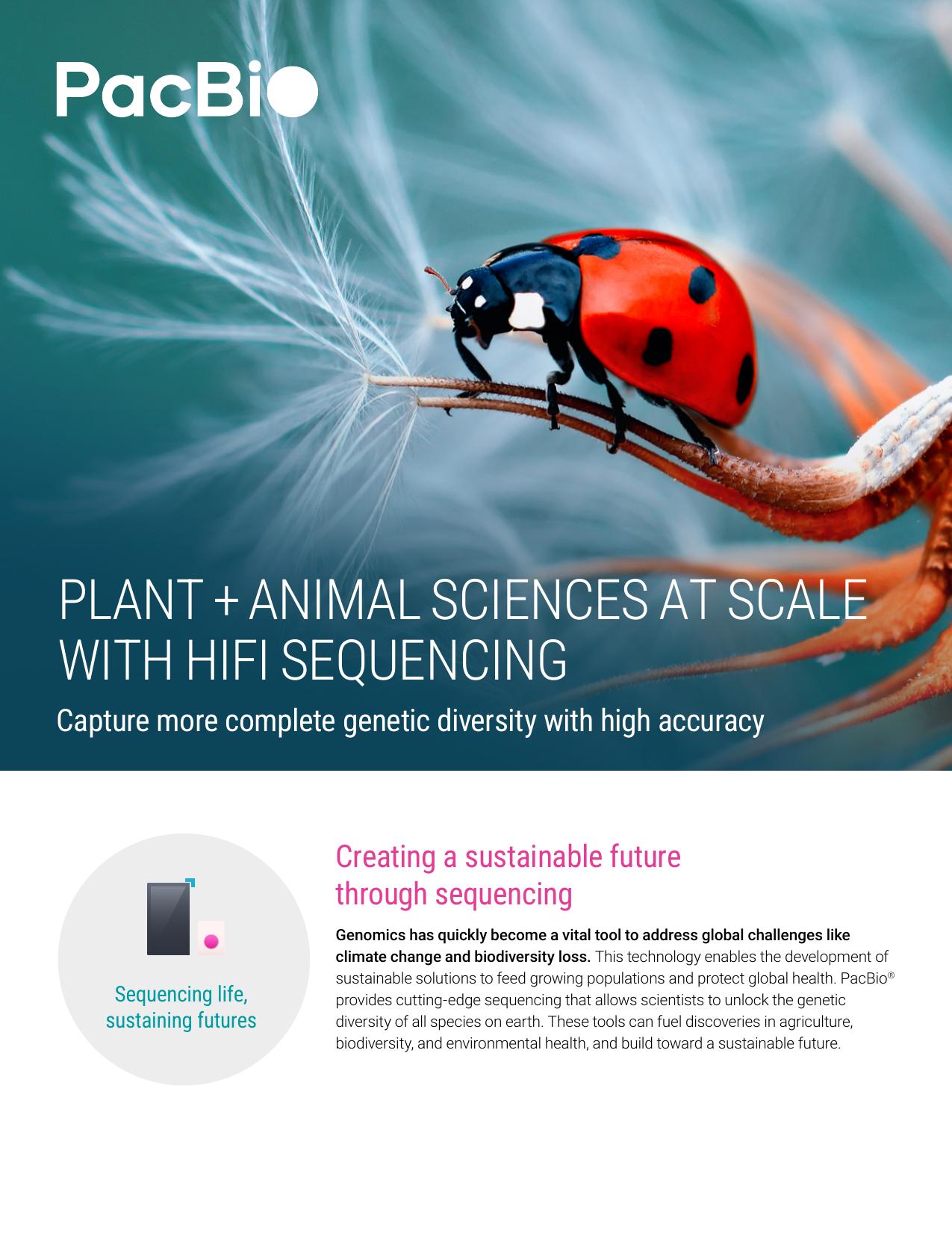 Applied markets brochure cover