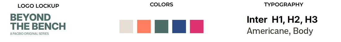 Beyond the Bench brand style guide strip