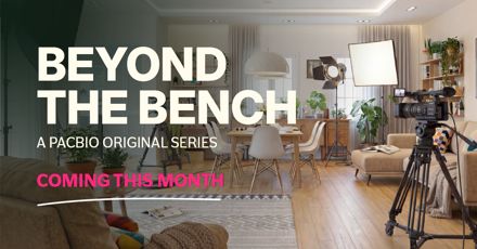 Beyond the Bench featured image