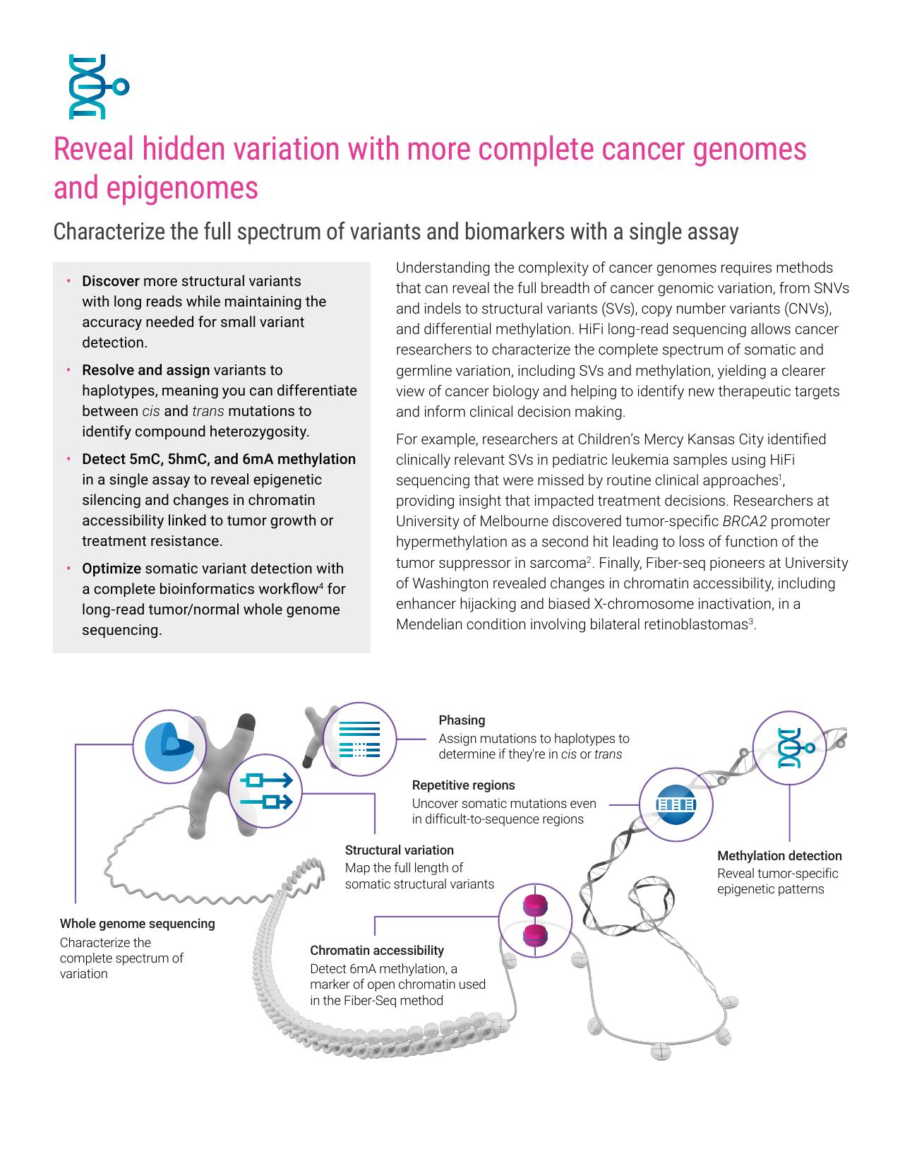Cancer brochure inside spread