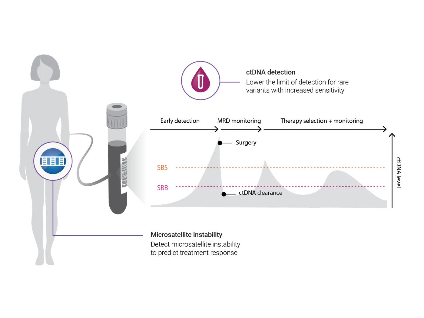 ctDNA detection timeline