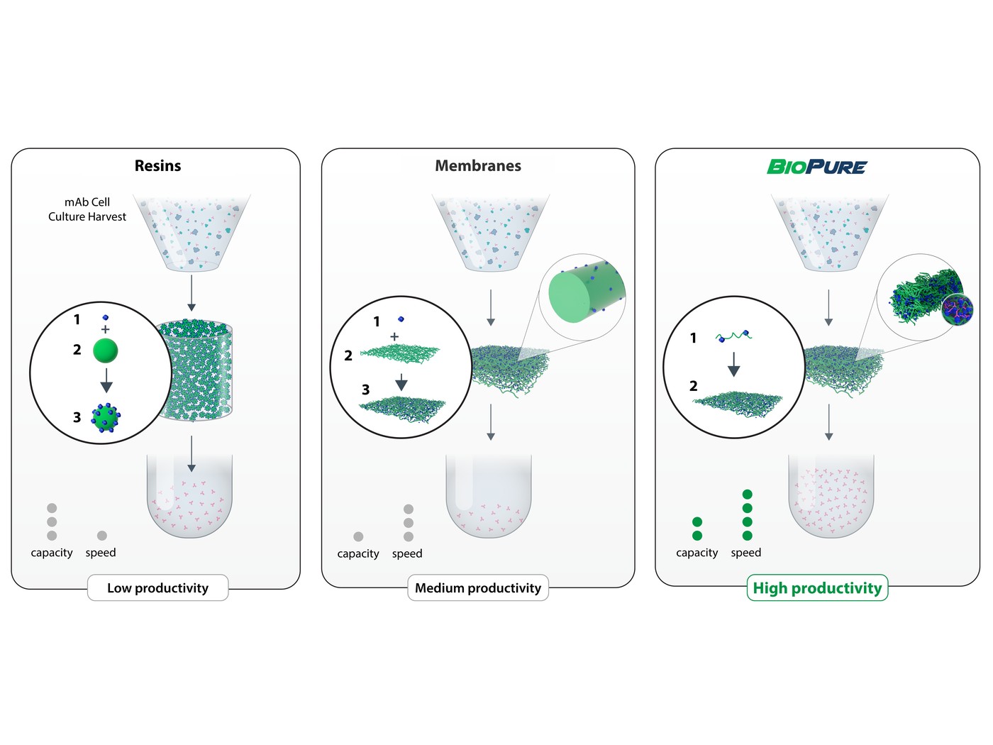 Downstream purification comparison