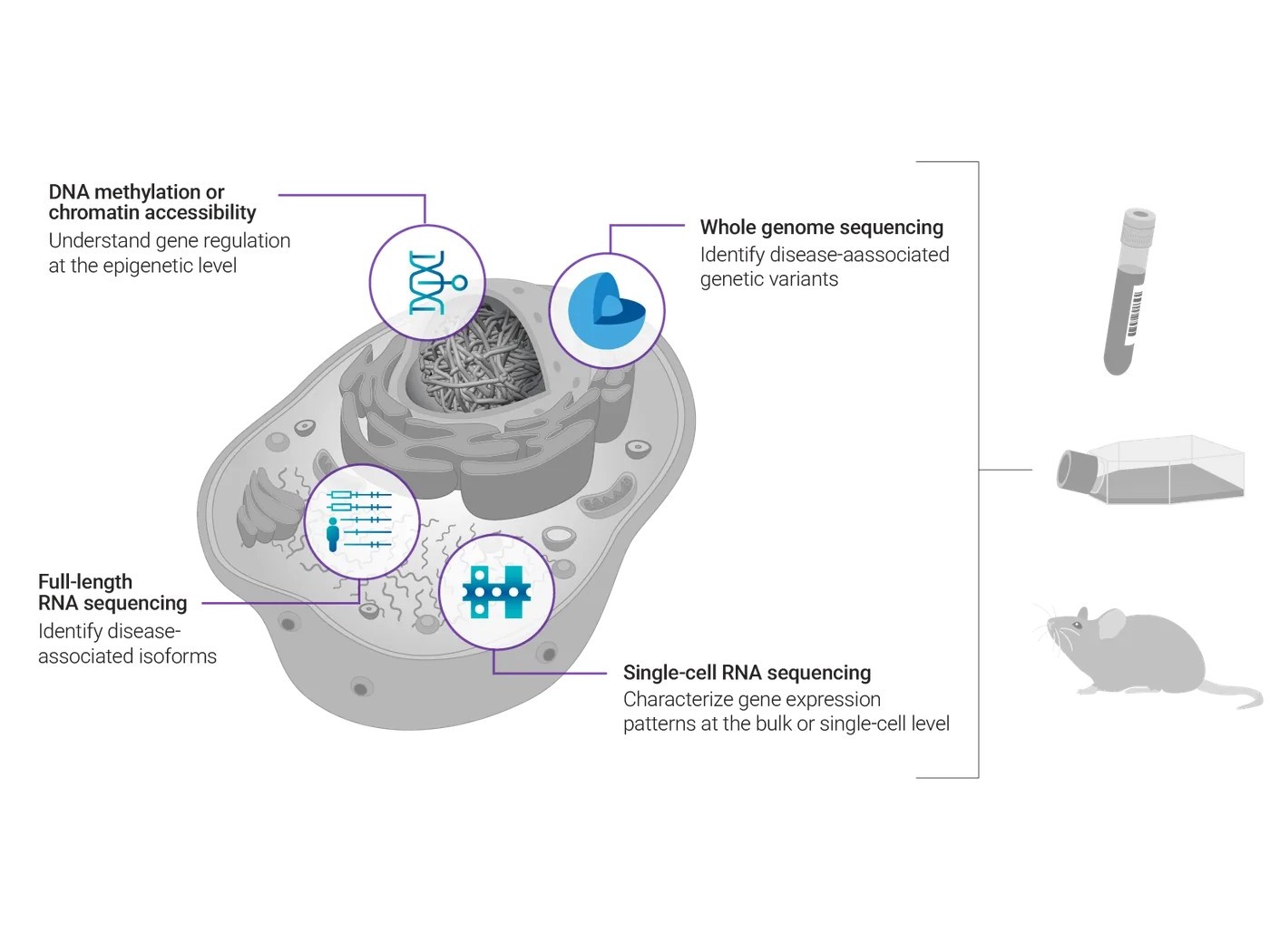 Epigenetics & single-cell workflow