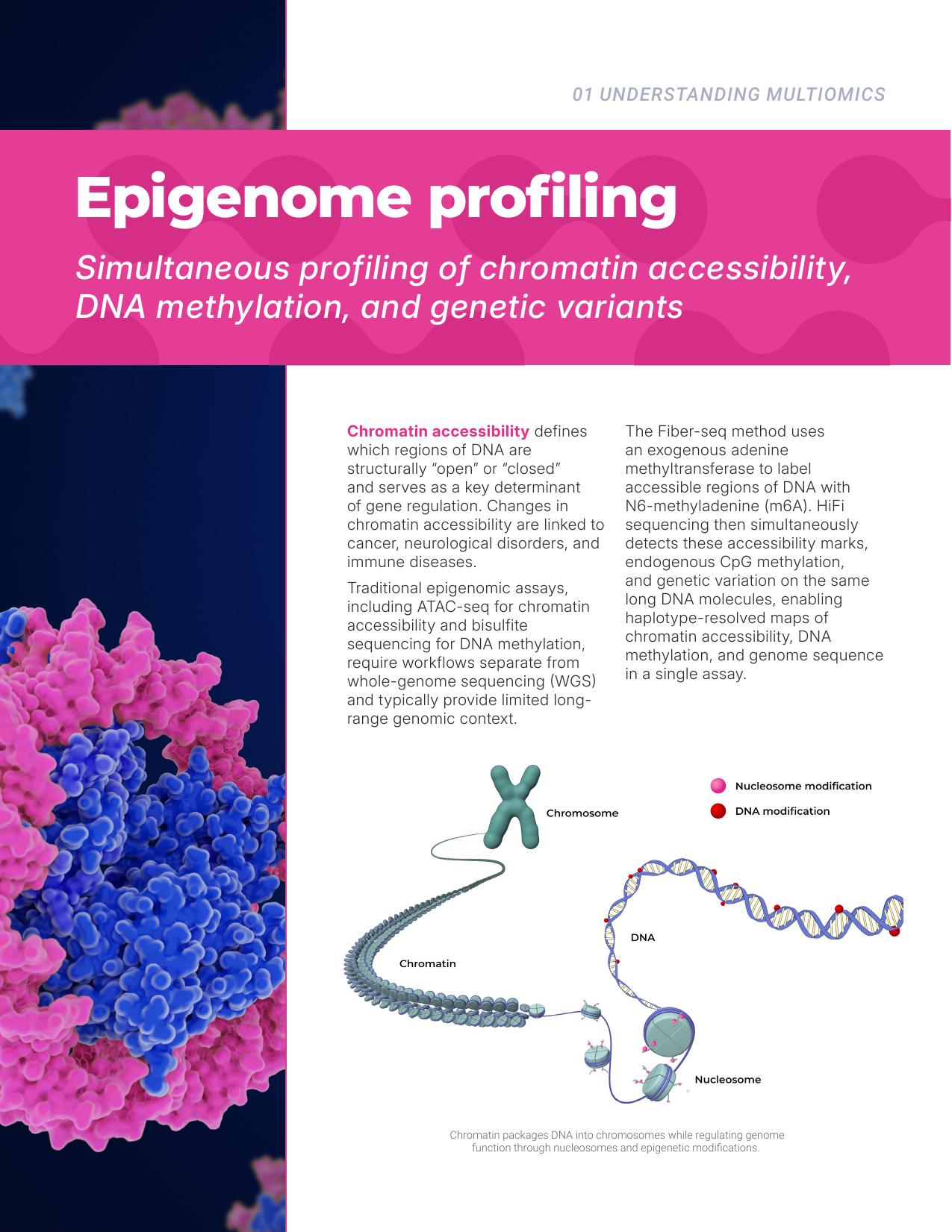 Essential guide to modern multiomics inside spread