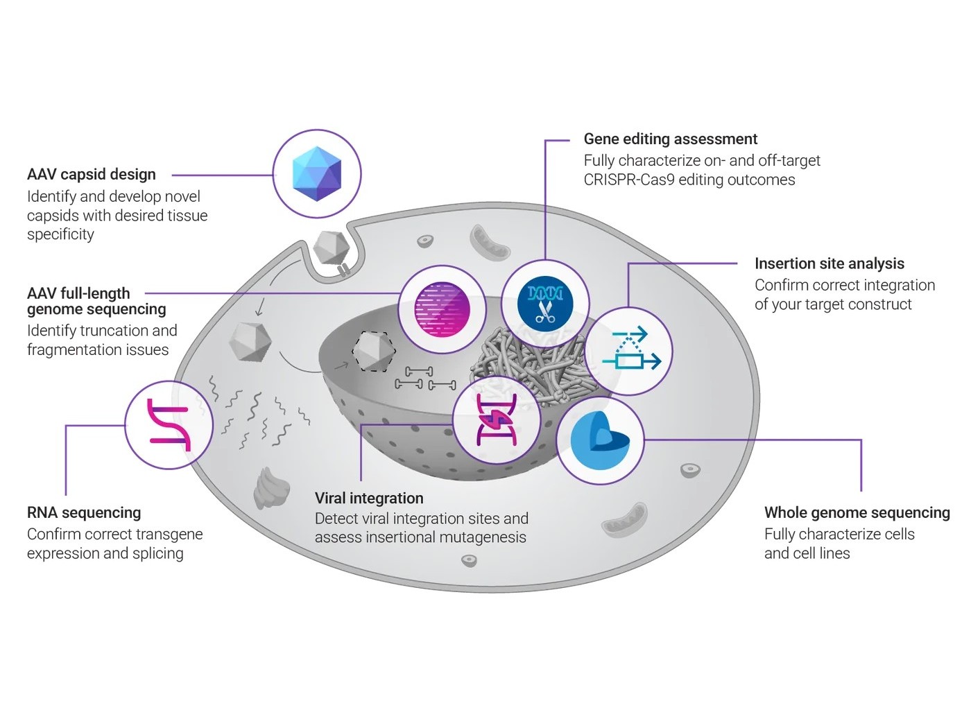 Gene editing & AAV capsid design