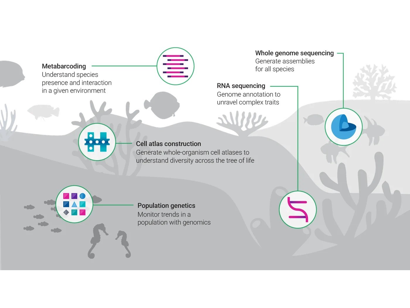 Metabarcoding & population genetics — landscape illustration
