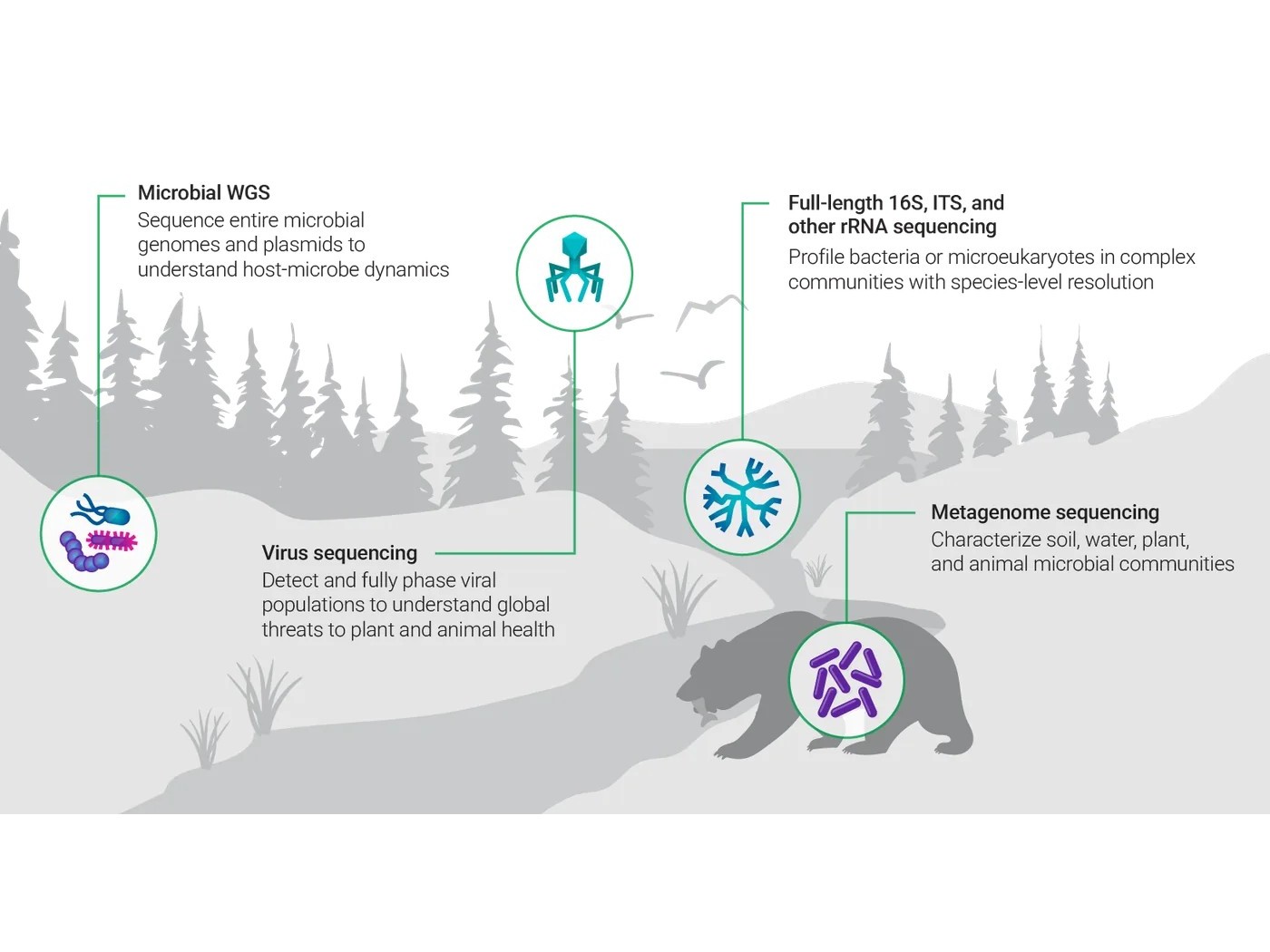 Microbial whole-genome sequencing — landscape illustration