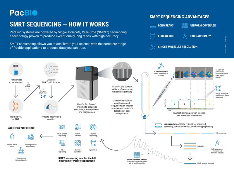 SMRT Sequencing — How It Works