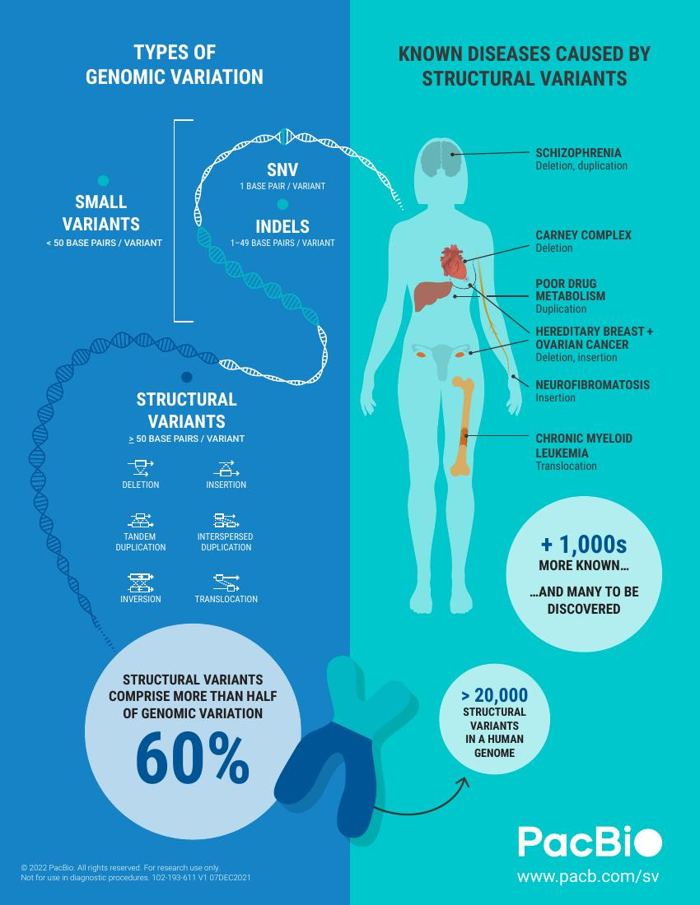 Structural Variation Infographic